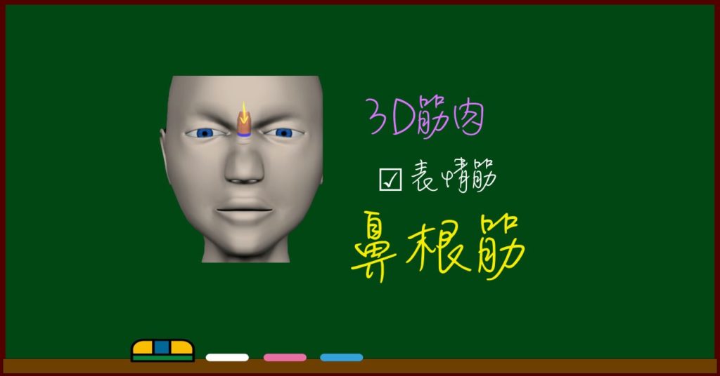 鼻根筋 3d筋肉 解剖学 わたしが私のお医者さん