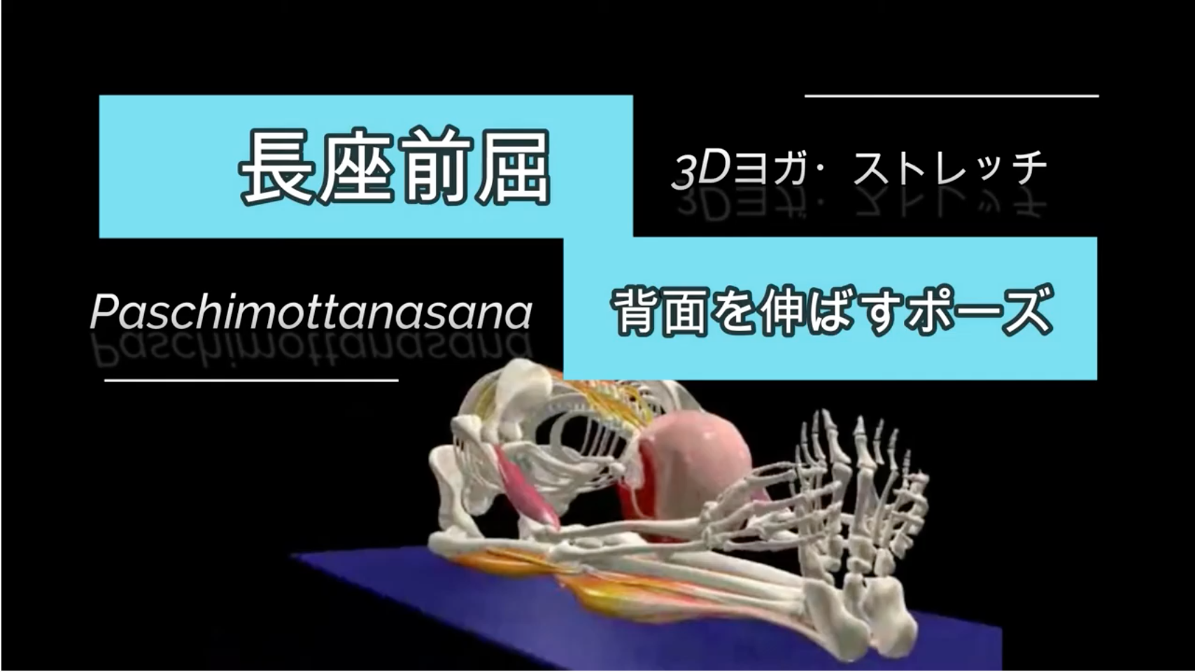 木のポーズ 立木のポーズ 効果と正しいやり方 3dヨガポーズ解剖学 わたしが私のお医者さん 21年大幅アップデート改修中 木のポーズ 立木のポーズ 効果と正しいやり方 3dヨガポーズ解剖学 わたしが私のお医者さん 21年大幅アップデート改修中
