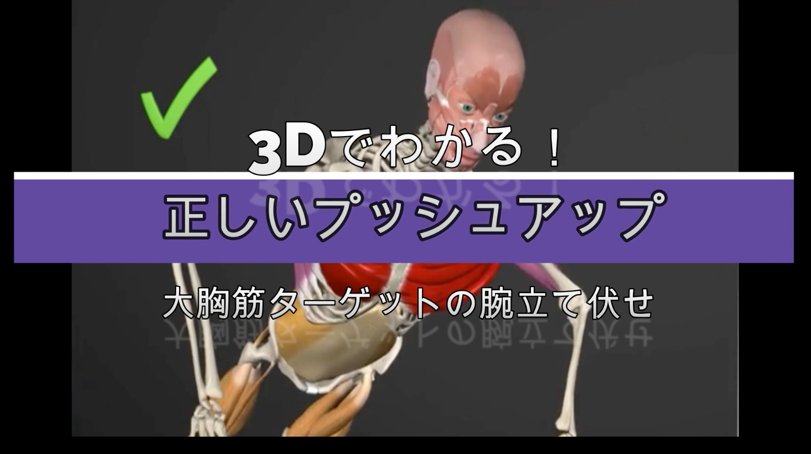 正しい腕立て伏せ 大胸筋を鍛える のプッシュアップ 3d筋トレ動画 わたしが私のお医者さん 21年大幅アップデート改修中