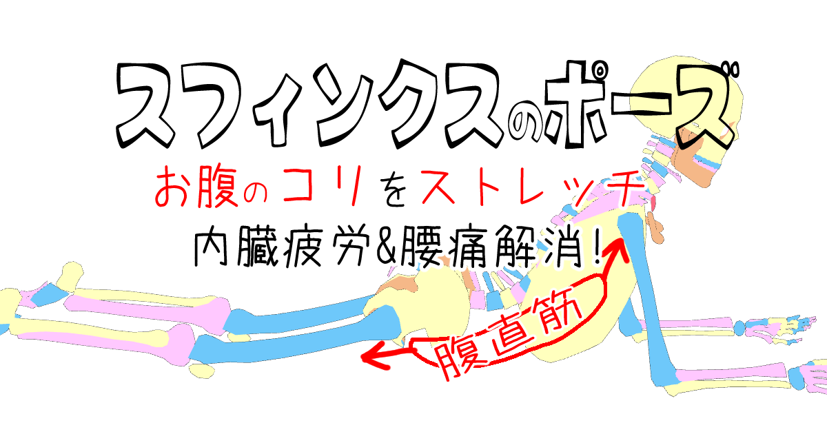 スフィンクスのポーズ 軽減したコブラのポーズ 効果と正しいやり方 ヨガポーズイラスト解剖学 初心者後屈のポーズ わたしが私のお医者さん 21年大幅アップデート改修中